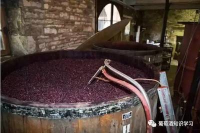 薈喝 ‖ 紅酒的釀制過(guò)程
