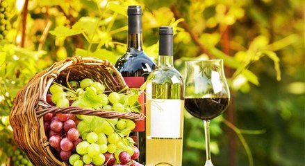 藍菲葡萄酒學院丨終于搞清楚有機葡萄酒、生物動力法葡萄酒了!