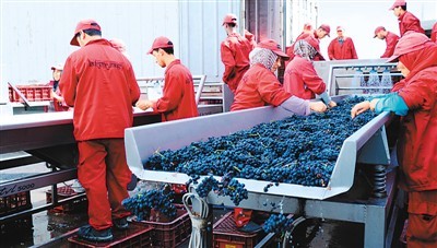 首屆國際進博會 全球葡萄酒買家新天堂