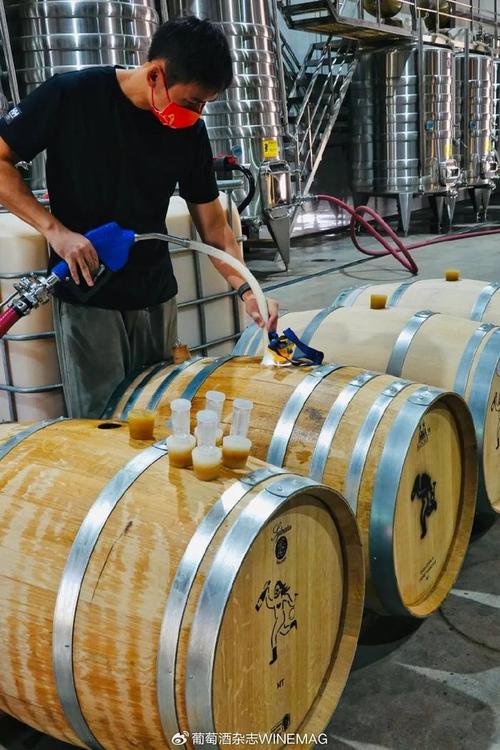 中國葡萄酒新勢力 釀松弛的酒，做最“野”的標