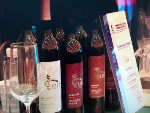 青銅峽葡萄酒 目標(biāo)年產(chǎn)值200億元，讓世界為之傾倒的東方佳釀