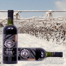 紫隆山紅寶石冰酒 品味時(shí)光凝萃，共創(chuàng)財(cái)富未來(lái)——通化紫隆山葡萄酒廠火熱招商